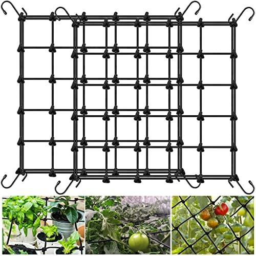 2x2 trellis net - 2x2, grow